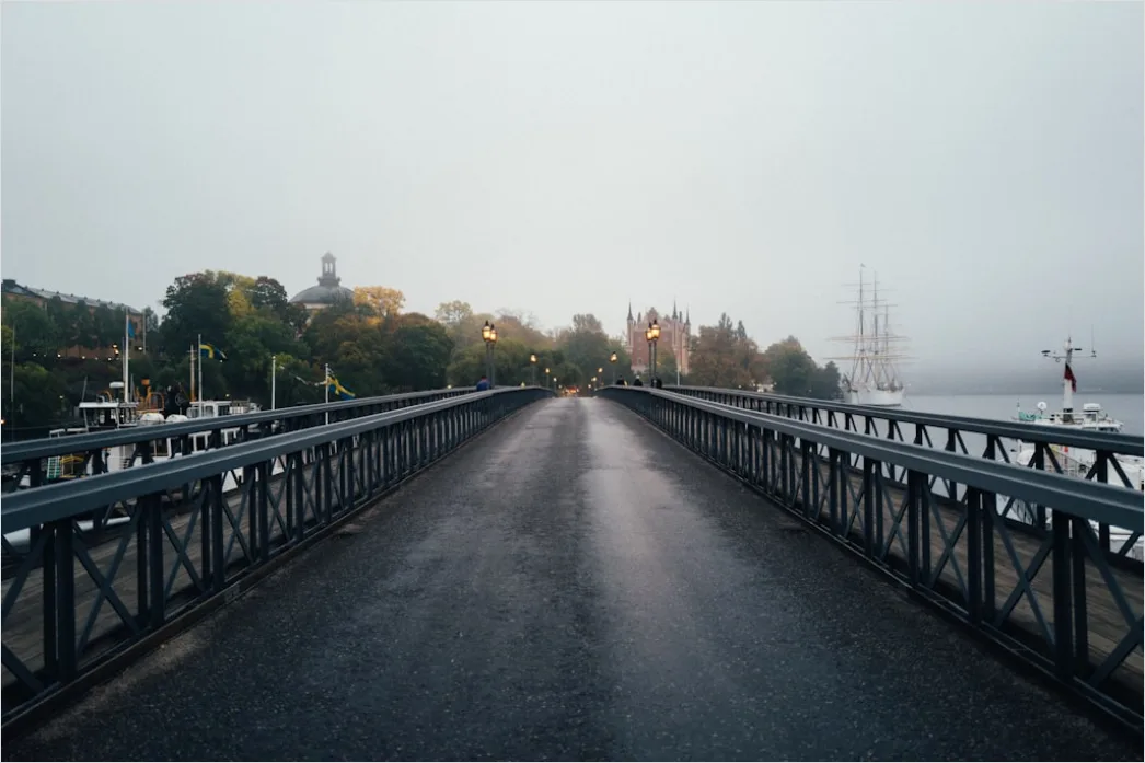 Detail Empty Road Fog Morning Atmospheric Landscape Number 6