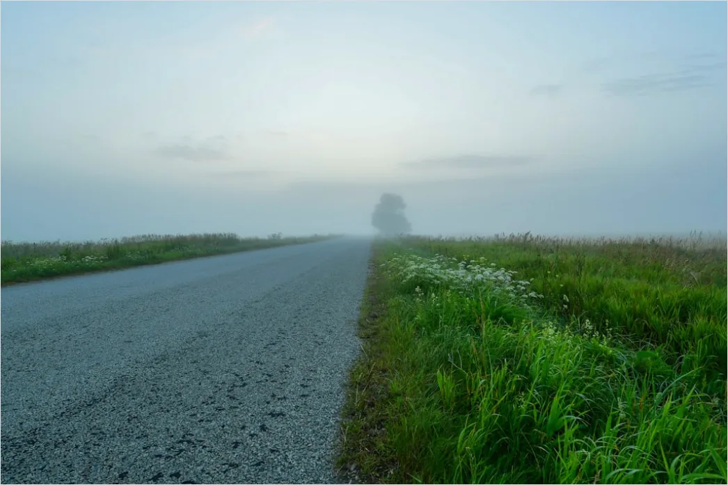 Detail Empty Road Fog Morning Atmospheric Landscape Number 7