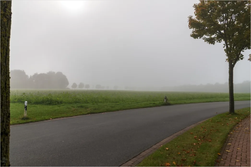 Detail Empty Road Fog Morning Atmospheric Landscape Number 9