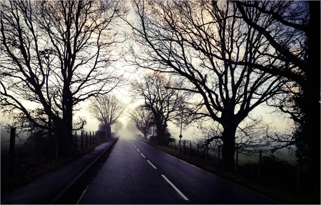 Detail Empty Road Fog Morning Atmospheric Landscape Number 10
