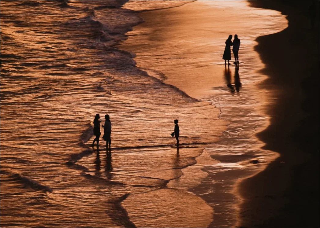 Detail Family Portrait Beach Sunset Golden Hour Number 13