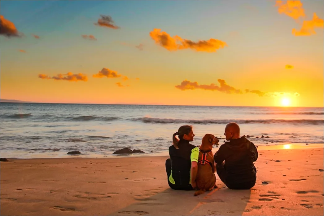 Detail Family Portrait Beach Sunset Golden Hour Number 17