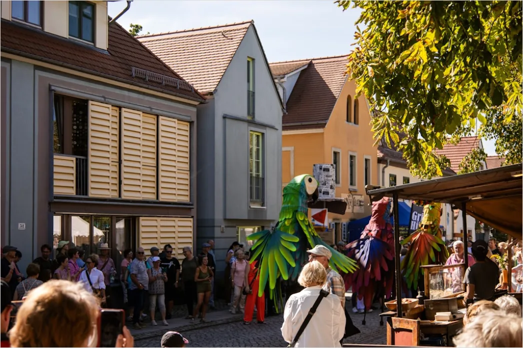 Detail Fasching Umzug Straße Kostüme Bunt Number 5