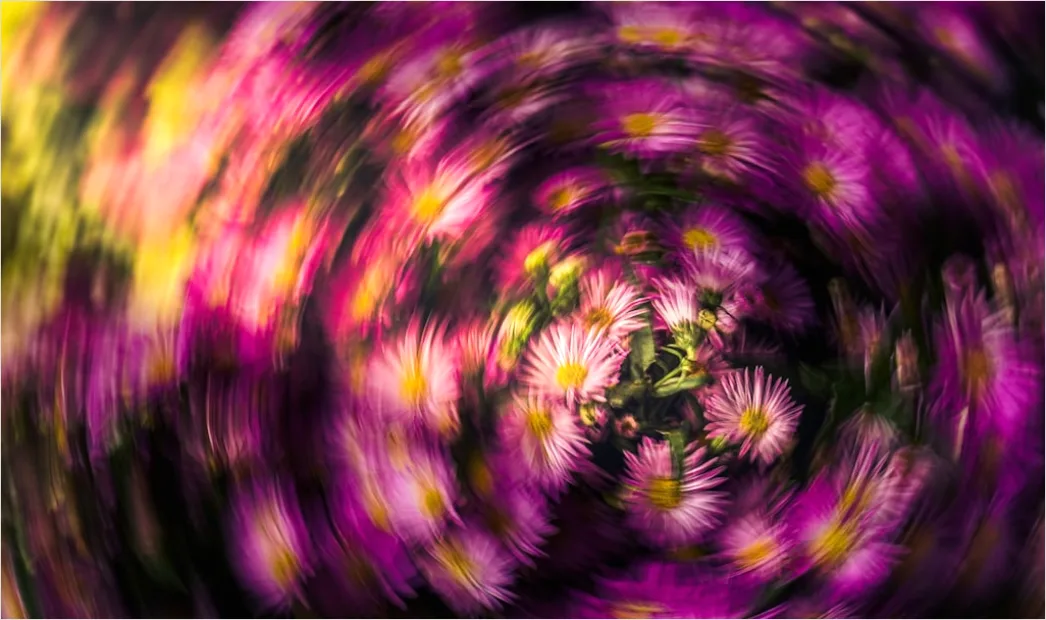 Fraktal Blume Abstrakt Hintergrund Symmetrisch E82d