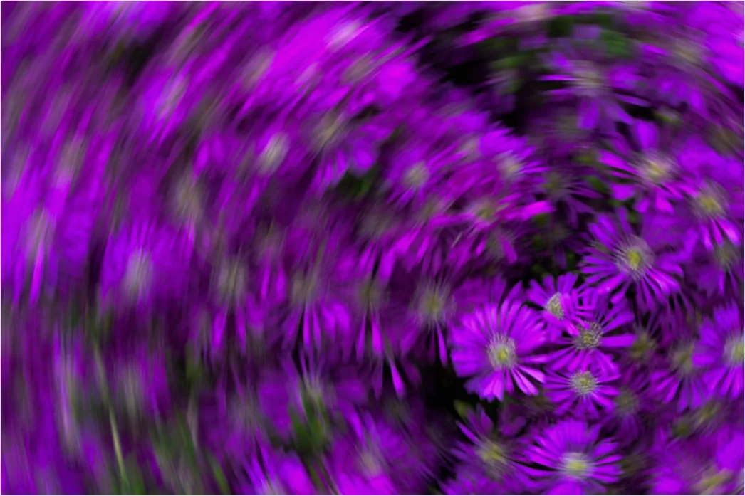 Detail Fraktal Blume Abstrakt Hintergrund Symmetrisch Number 2