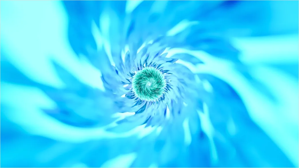 Detail Fraktal Blume Abstrakt Hintergrund Symmetrisch Number 11