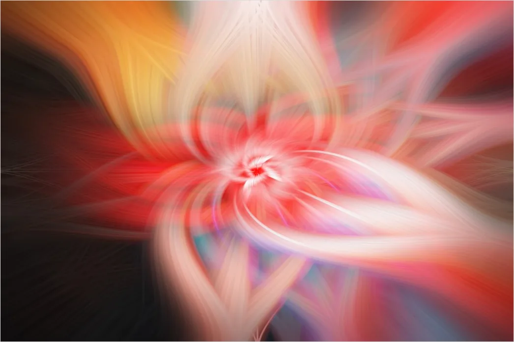 Detail Fraktal Blume Abstrakt Hintergrund Symmetrisch Number 13