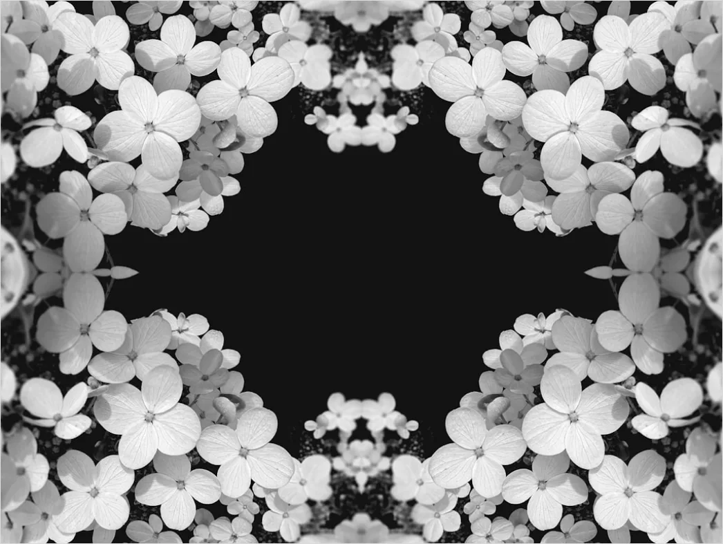 Detail Fraktal Blume Abstrakt Hintergrund Symmetrisch Number 14