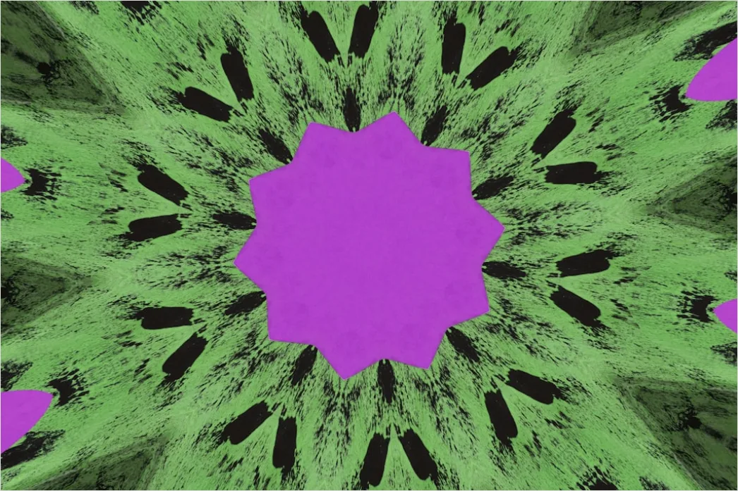Detail Fraktal Blume Abstrakt Hintergrund Symmetrisch Number 17