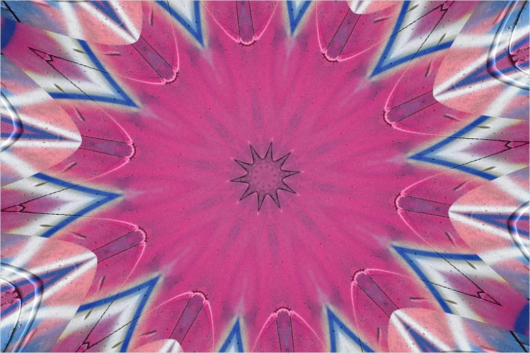 Detail Fraktal Blume Abstrakt Hintergrund Symmetrisch Number 18
