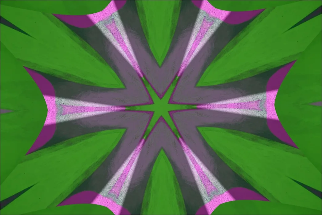 Detail Fraktal Blume Abstrakt Hintergrund Symmetrisch Number 19