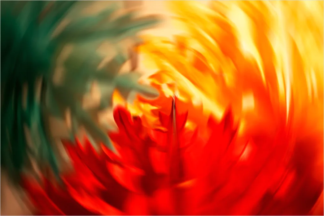 Detail Fraktal Blume Abstrakt Hintergrund Symmetrisch Number 4
