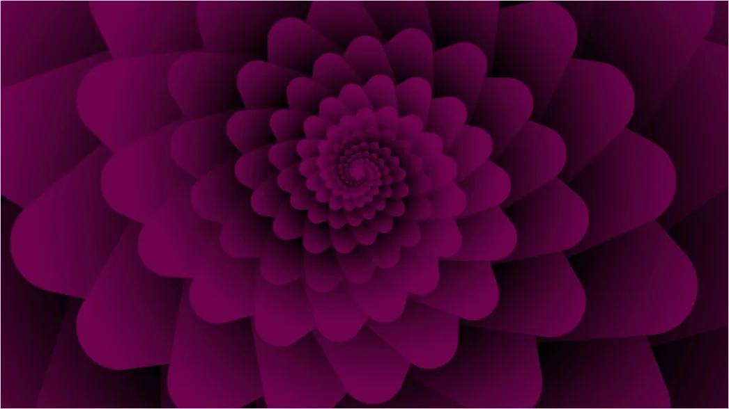 Detail Fraktal Blume Abstrakt Hintergrund Symmetrisch Number 6
