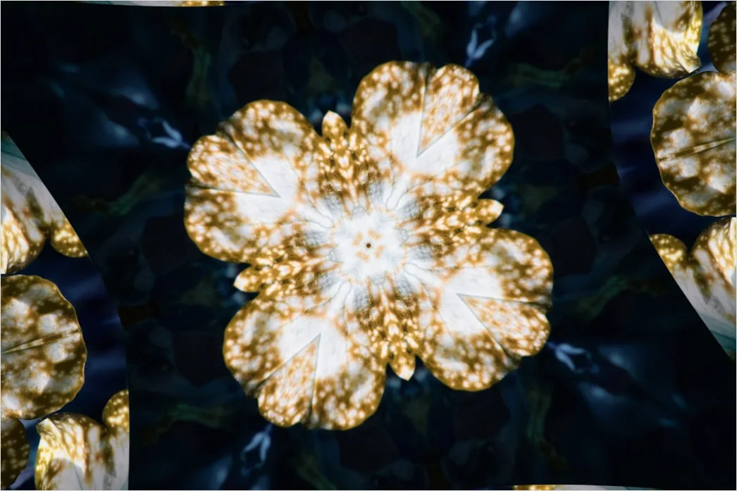 Detail Fraktal Blume Abstrakt Hintergrund Symmetrisch Number 9