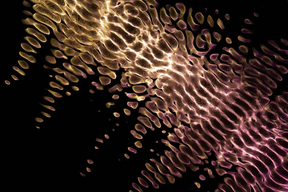 Detail Fraktal Muster Abstrakt Hintergrund Gold Schwarz Number 12