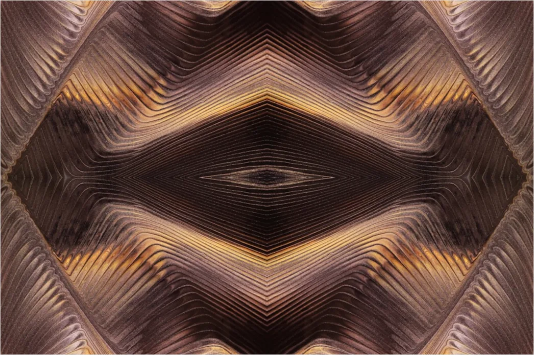 Detail Fraktal Muster Abstrakt Hintergrund Symmetrisch Number 3