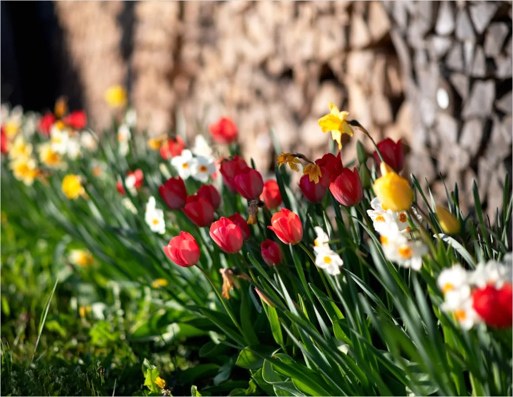Fruehlingsfest Outdoor Dekoration Blumen Bunt D25a