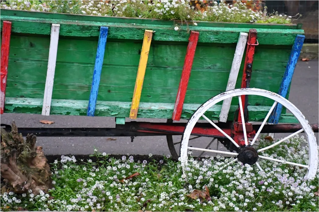 Detail Frühlingsfest Outdoor Dekoration Blumen Bunt Number 15
