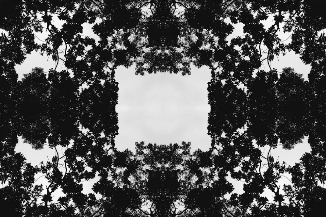 Detail Grunge Abstrakt Pinselstriche Schwarz Weiß Textur Number 20