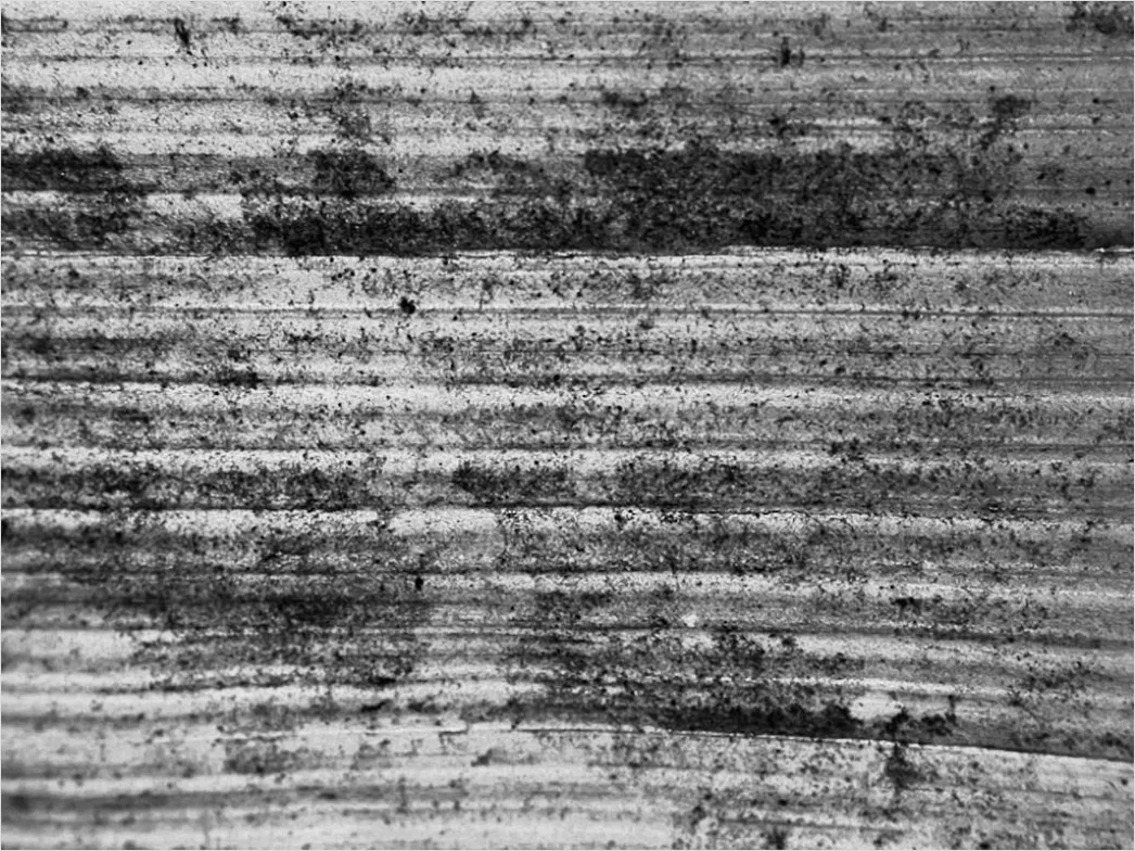 Detail Grunge Abstrakt Pinselstriche Schwarz Weiß Textur Number 9
