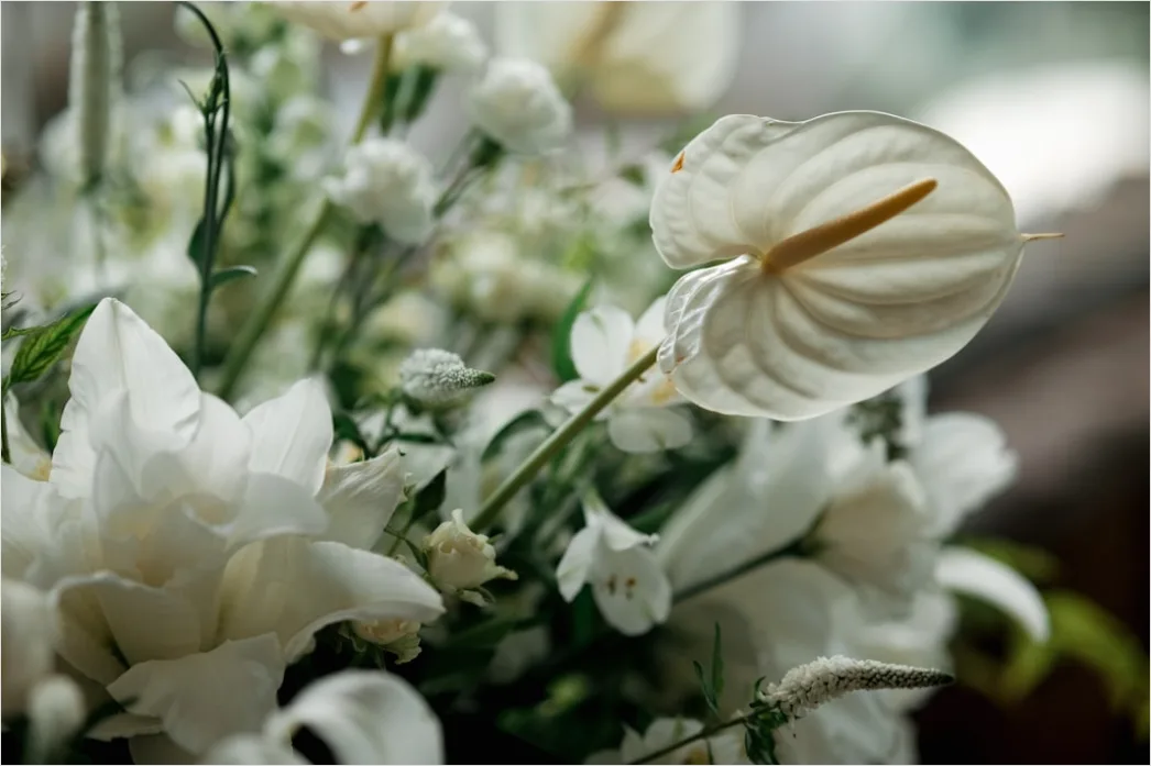 Hochzeitsblumen Brautstrauss Nahaufnahme Detail Weiss 73ef