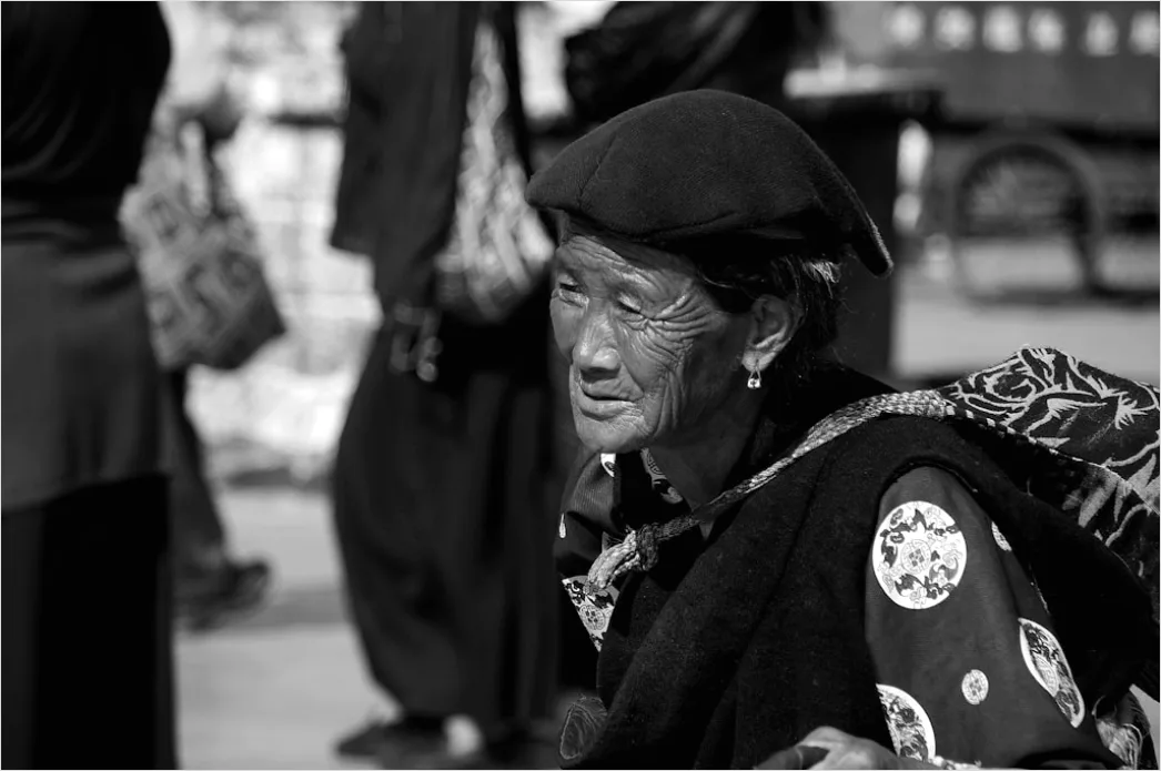 Detail Indigenous Elder Portrait Dignified Traditional Dress Number 9