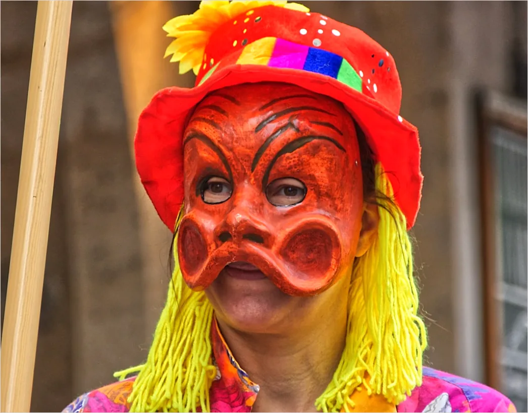 Detail Karneval Kostüm Bunt Portrait Feier Number 13