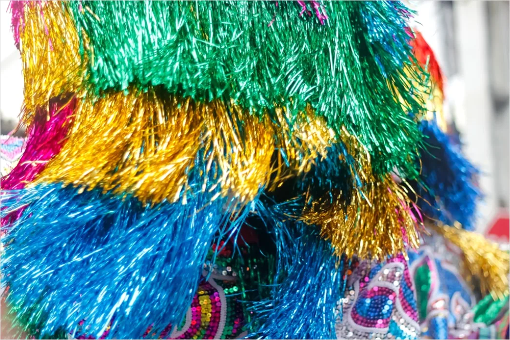Detail Karneval Kostüm Bunt Portrait Feier Number 3