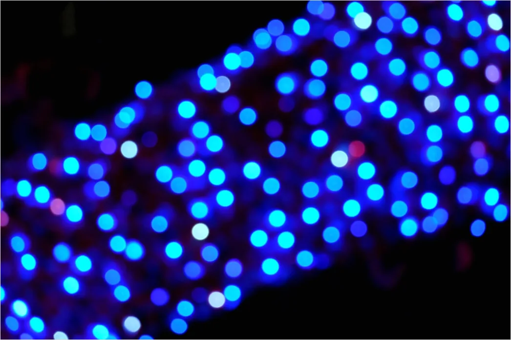 Detail Leuchtendes Neon Gitter Abstrakt Hintergrund Blau Number 17