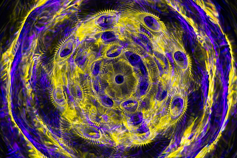 Detail Mandelbrot Fraktal Abstrakt Hintergrund Bunt Number 20