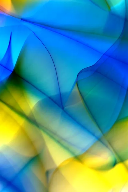 Detail Mathematische Abstraktion Fraktal Hintergrund Number 20