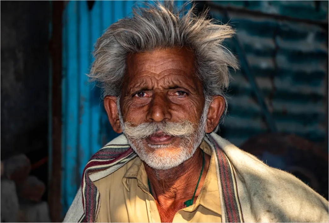 Detail Mature Man Portrait Distinguished Silver Hair Close Up Number 2