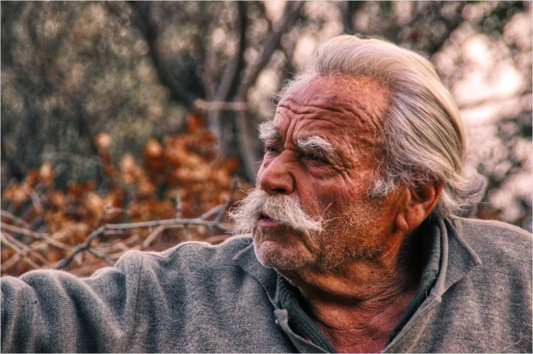 Detail Mature Man Portrait Distinguished Silver Hair Close Up Number 11