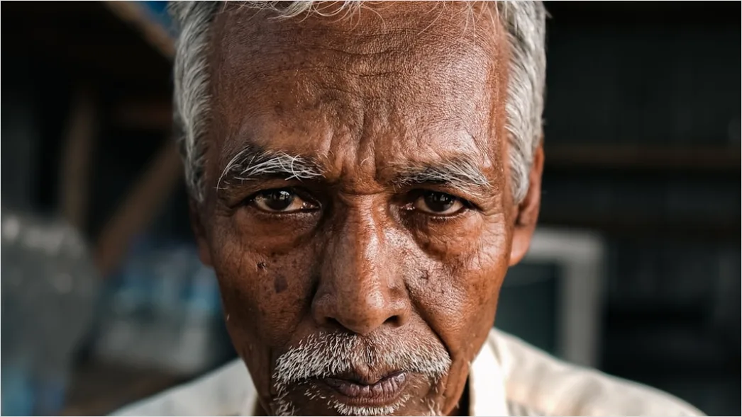 Detail Mature Man Portrait Distinguished Silver Hair Close Up Number 14