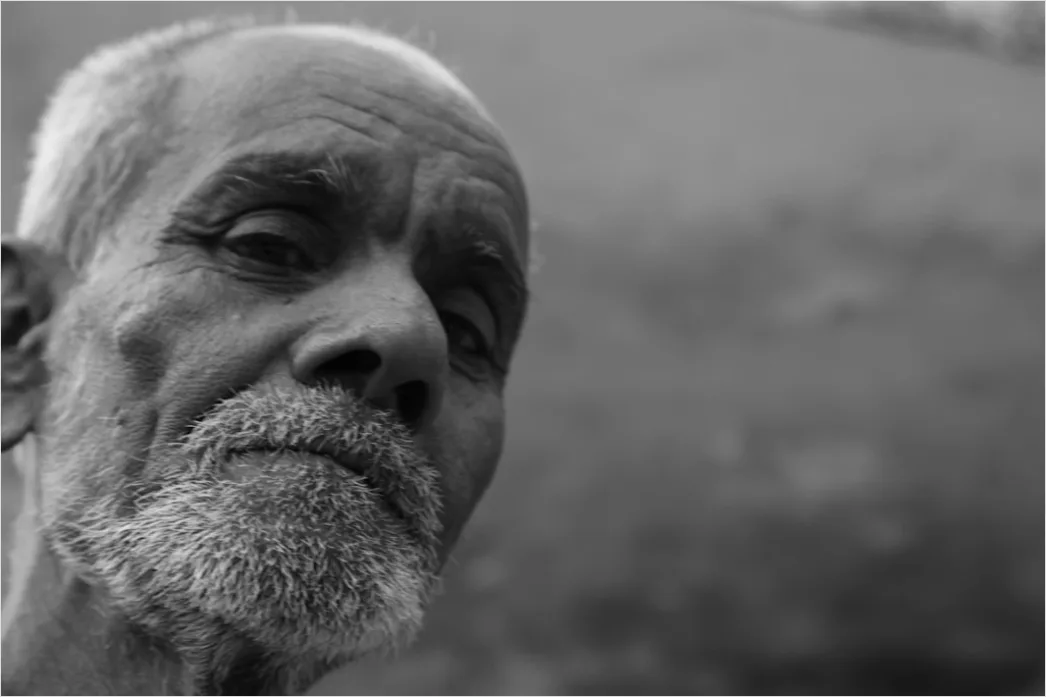 Detail Mature Man Portrait Distinguished Silver Hair Close Up Number 9