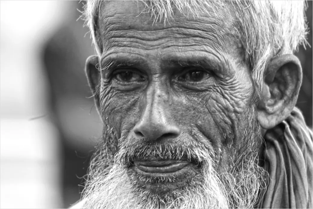 Detail Mature Man Portrait Distinguished Silver Hair Close Up Number 10