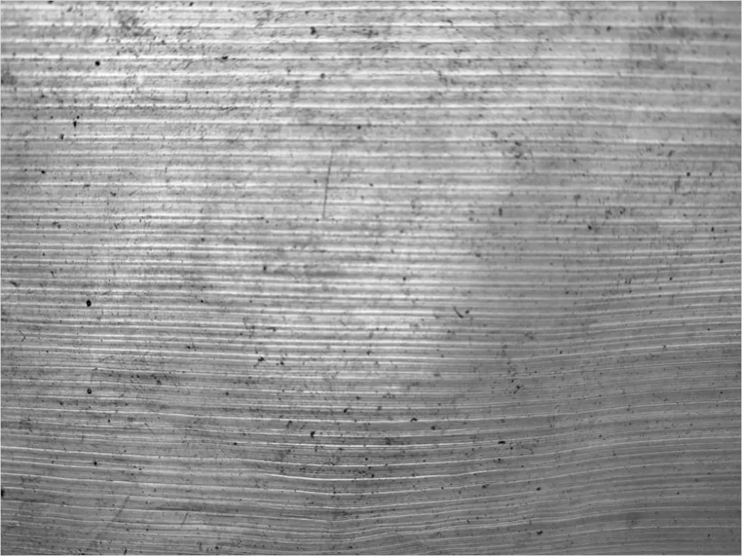 Detail Monochrom Abstrakt Textur Hintergrund Grunge Number 13
