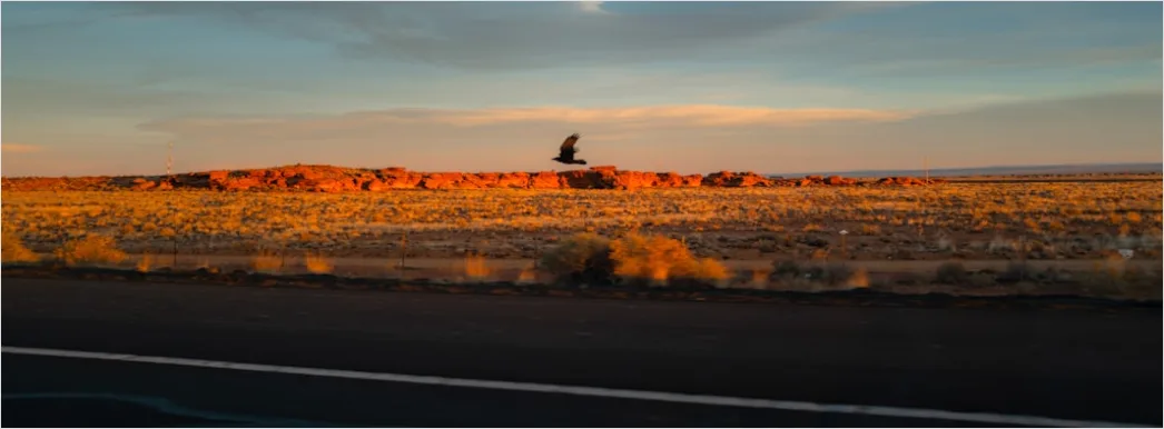 Detail Motorcycle On Open Highway Sunset Landscape Number 8