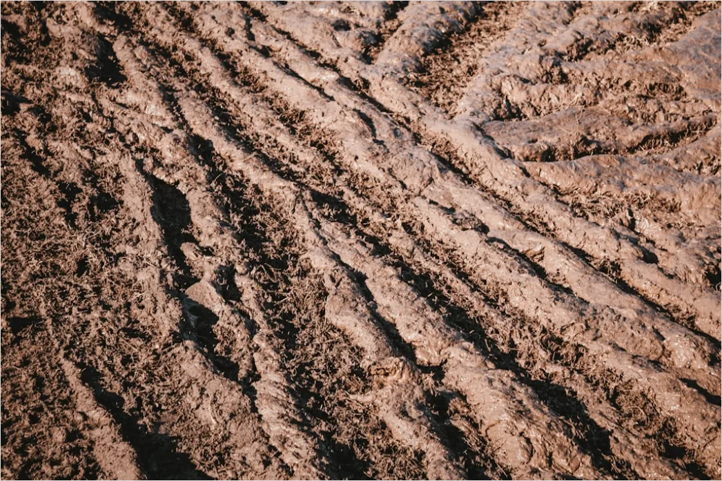 Mud Terrain Tires Close Up Off Road 3161