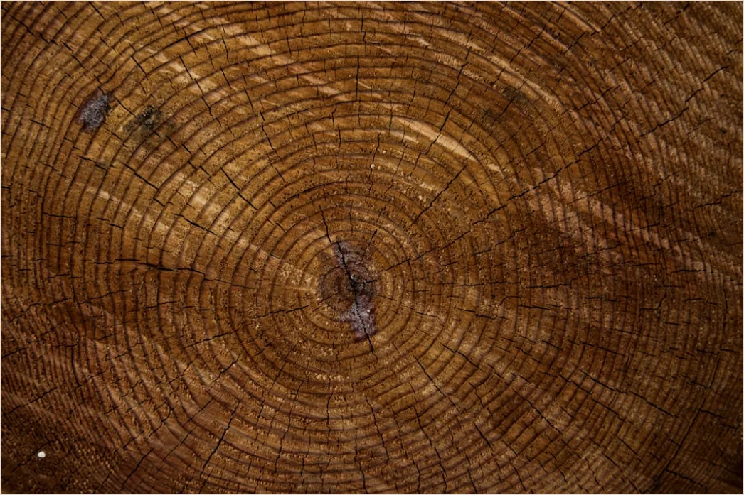 Natur Abstraktion Holz Textur Nahaufnahme Ee9b