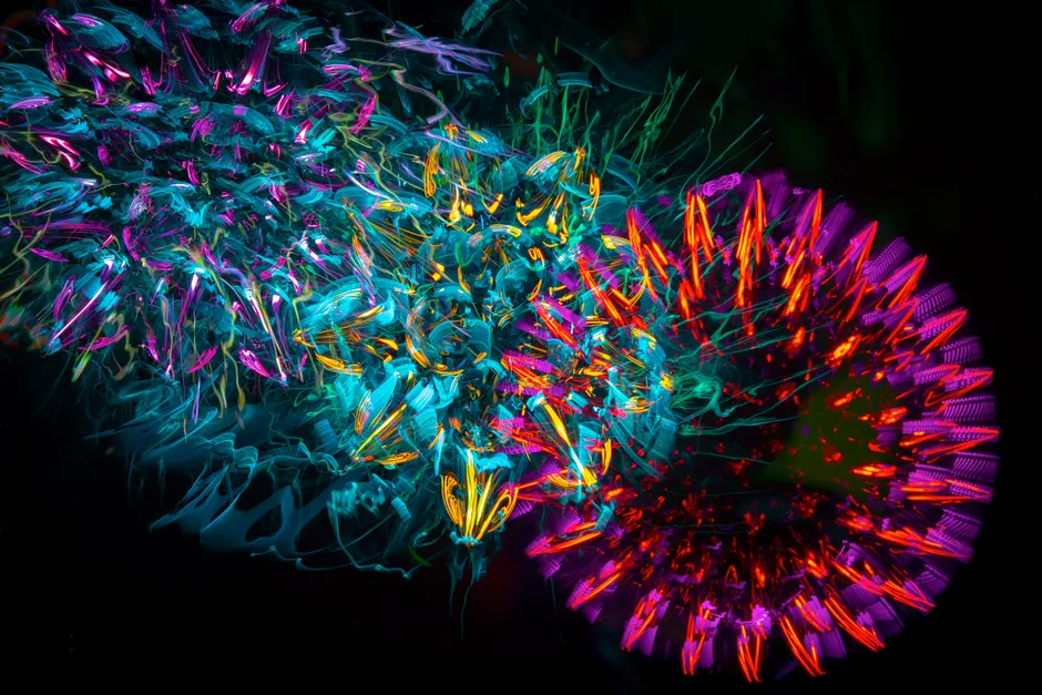 Neon Explosion Abstrakt Farben Hintergrund Dunkel E52b