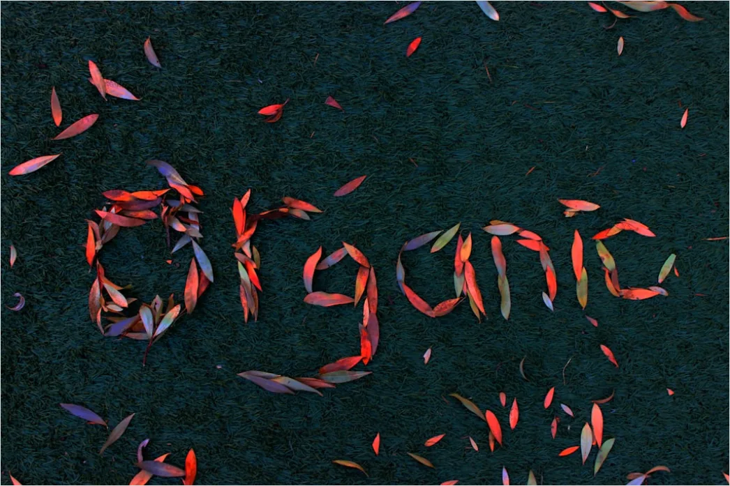 Detail Organisch Abstrakt Erde Textur Hintergrund Number 10