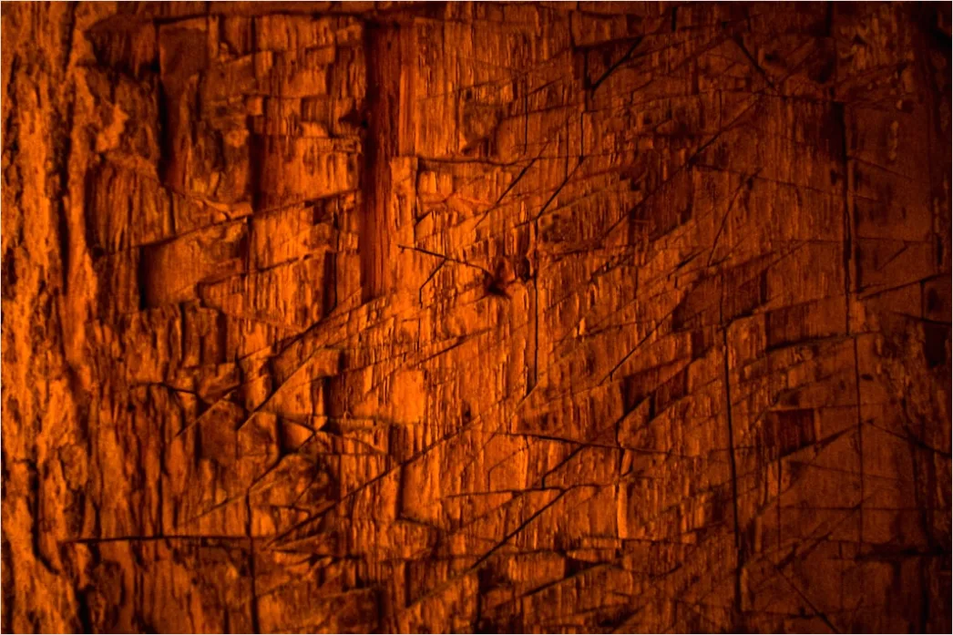 Detail Organisch Abstrakt Hintergrund Fels Textur Number 20