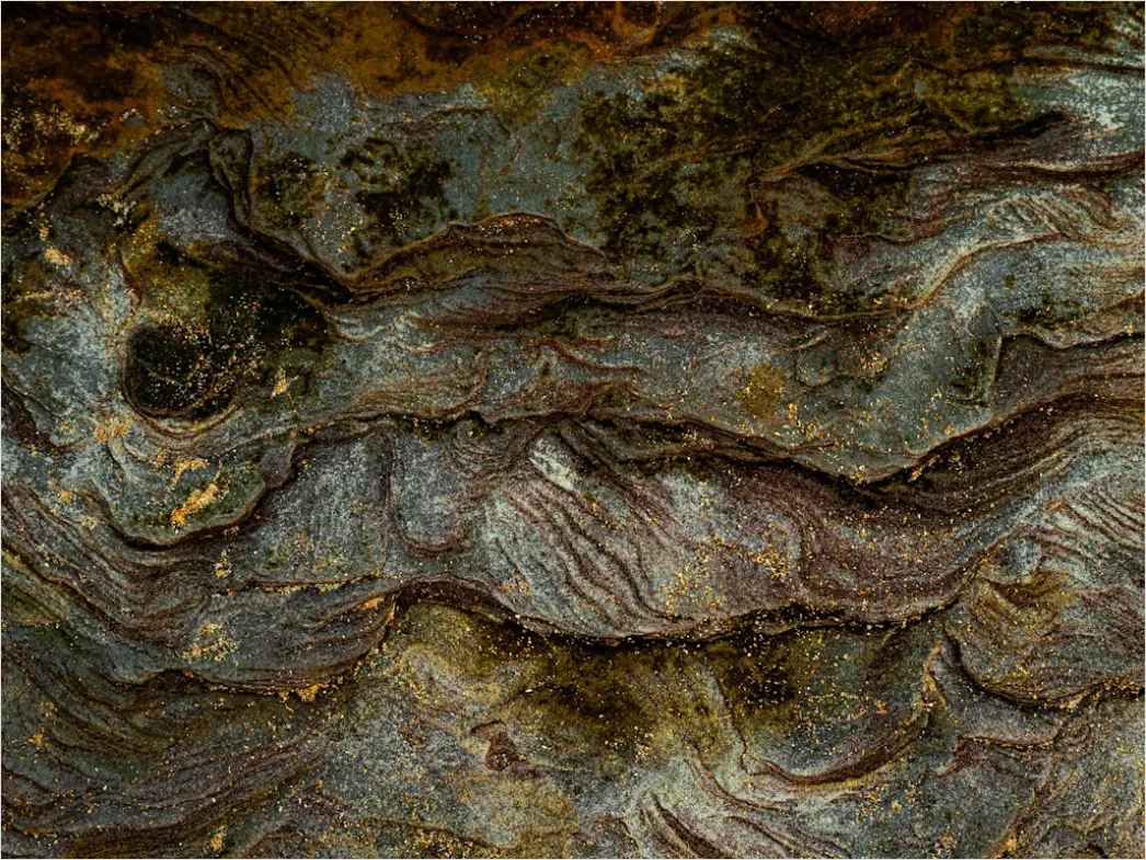 Detail Organisch Abstrakt Hintergrund Fels Textur Number 3