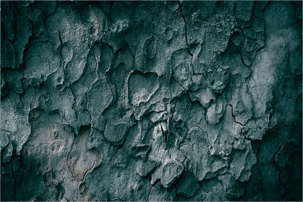 Detail Organisch Abstrakt Hintergrund Fels Textur Number 8