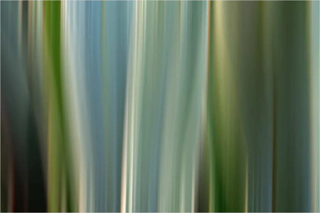 Detail Organisch Abstrakt Hintergrund Natur Formen Number 16