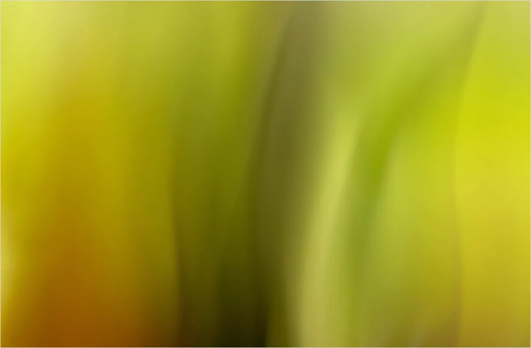 Detail Organisch Abstrakt Hintergrund Natur Formen Number 9