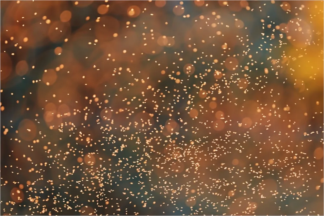Detail Partikel Nebel Abstrakt Hintergrund Atmosphärisch Number 16