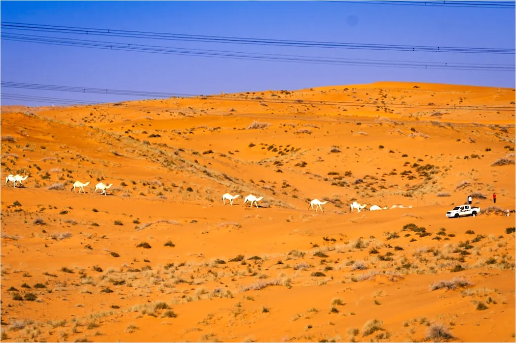 Pickup Truck Off Road Desert Dunes Driving 0eed