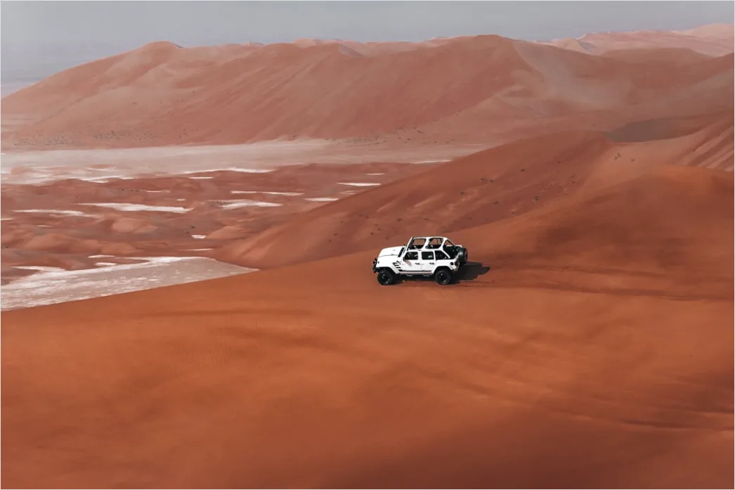 Detail Pickup Truck Off Road Desert Dunes Driving Number 14